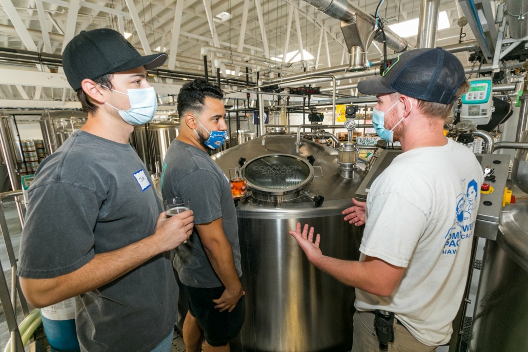 Three brewers brewing beer