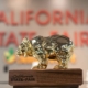 CA State Fair award