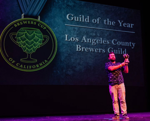 Guild of the Year on stage